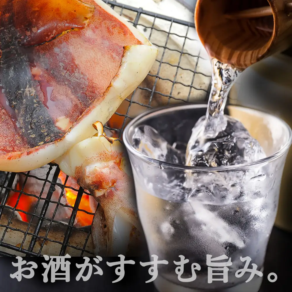老舗の味 真いかの一夜干し 2枚入×2パックセット＜秋元水産＞