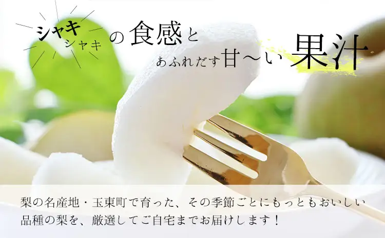 フルーツ 定期便 旬の梨 3kg 西南のひかり 5kg 2回定期便 さかもと果樹園《梨：8月中旬-10月上旬頃出荷 みかん：12月中旬-12月末頃出荷》