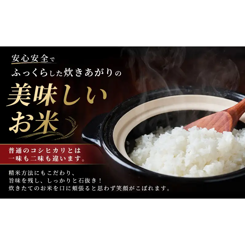 令和7年度米 新潟市産 越後金四郎コシヒカリ（特別栽培米）20kg