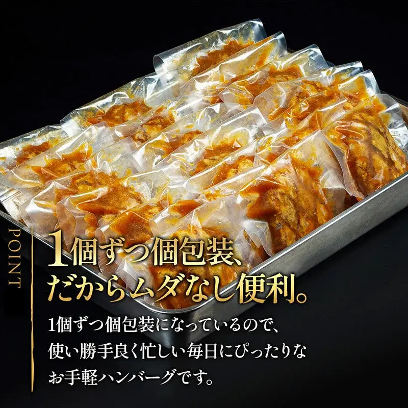 《定期便10ヶ月》お肉屋さんのハンバーグ 昔懐かしいデミグラスソース(160g×4個)＆和風オニオンソース(150g×4個) ×10回