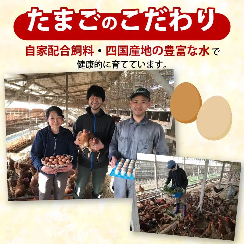 【土佐ジローの卵と平飼い卵 セット】 計40個(各20個)