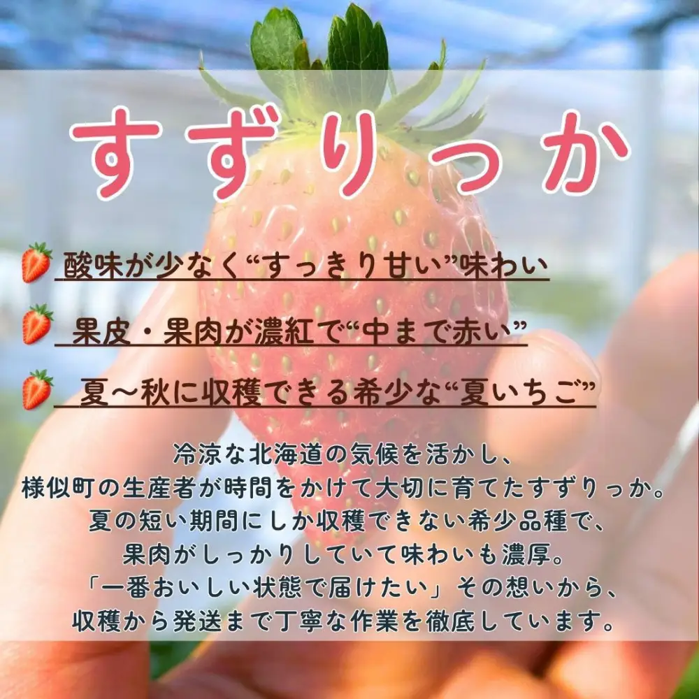 北海道様似町産 すずりっか 300g×2セット いちご いちご