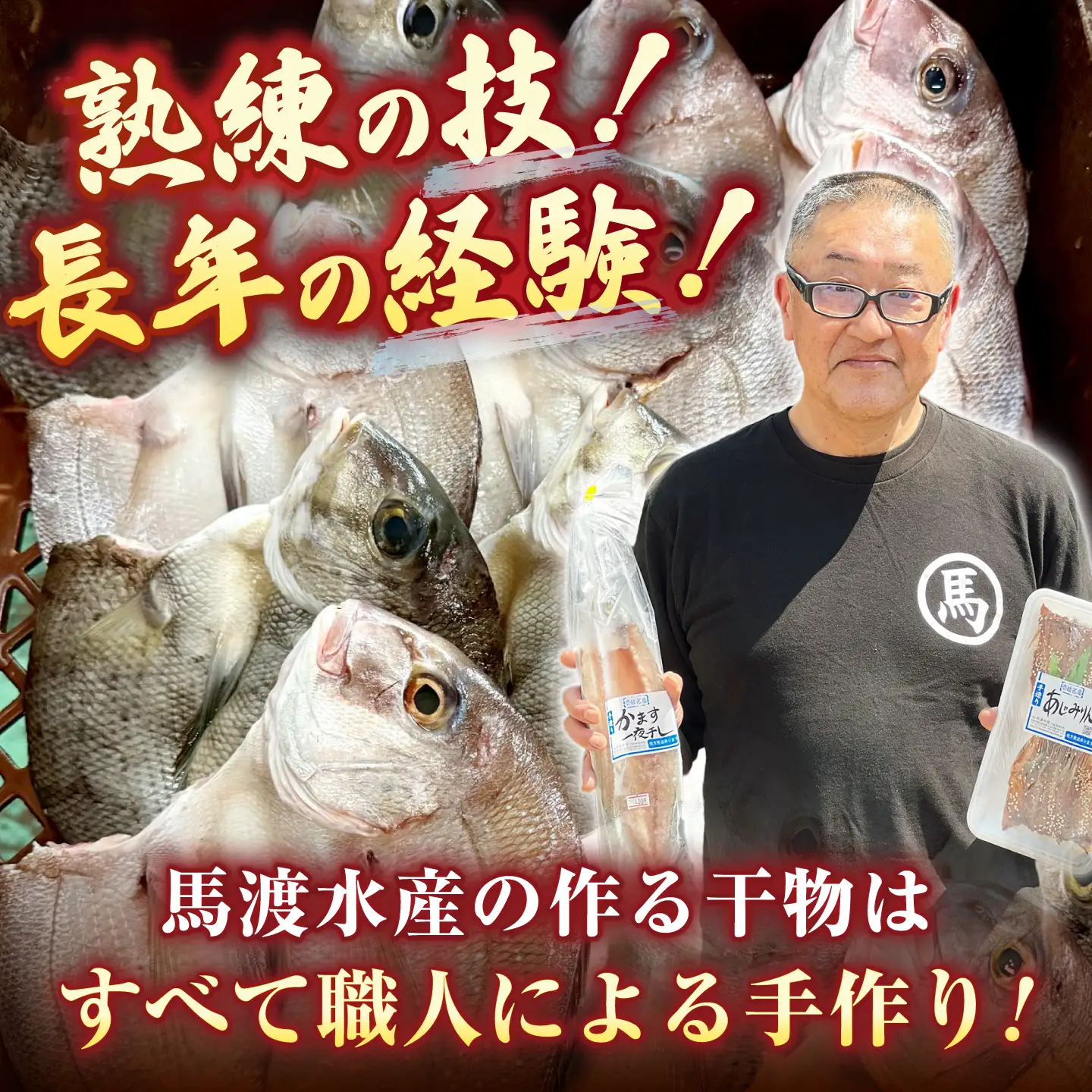 【訳あり】干物セット 10～12枚 [JAQ039] 訳あり 干物
