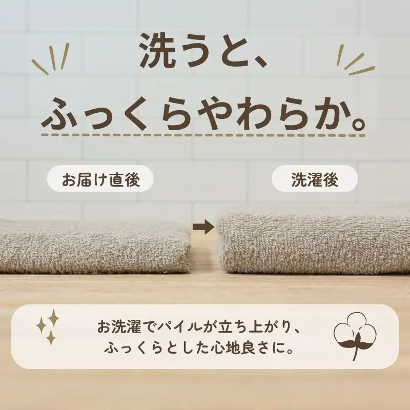 デイリーフェイスタオル 10枚セット (ピンクベージュ・サンドベージュ）