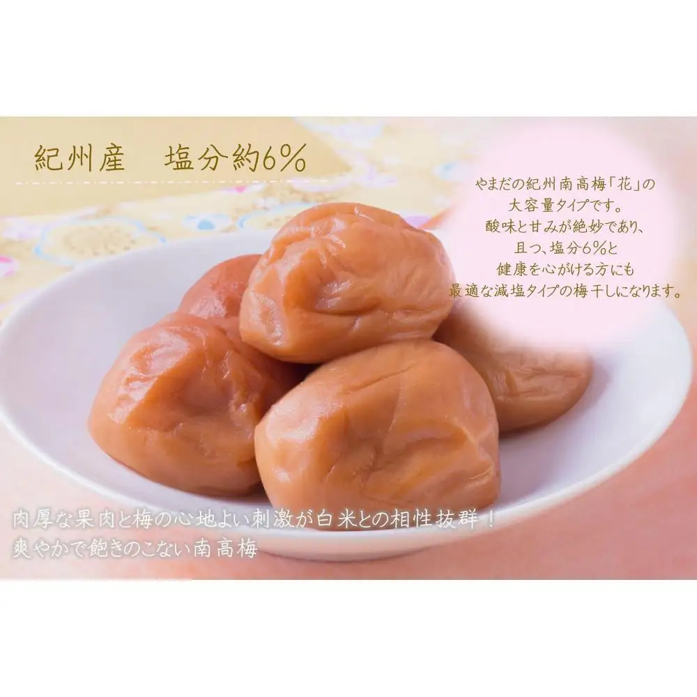 【定期便・2ヵ月毎 全5回】ご家庭用 紀州南高梅 うす塩 つぶれ 700g×2 ［YM15］