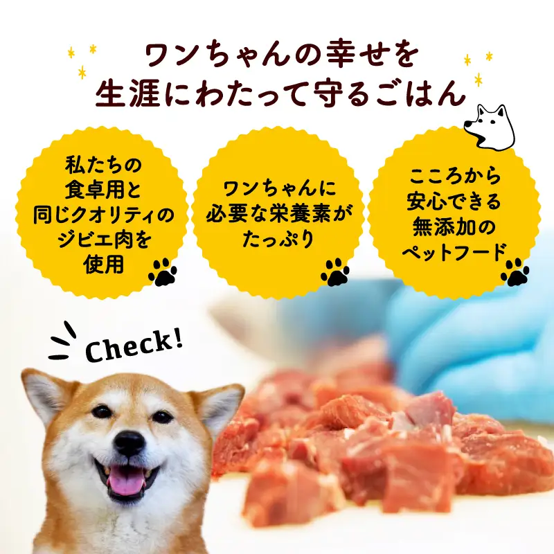 鹿肉ごはん。(内臓にやさしい)レトルト 5袋 【ペットフード】 