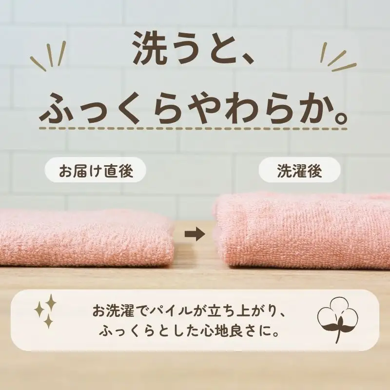 デイリーフェイスタオル 10枚セット (ピンクベージュ）