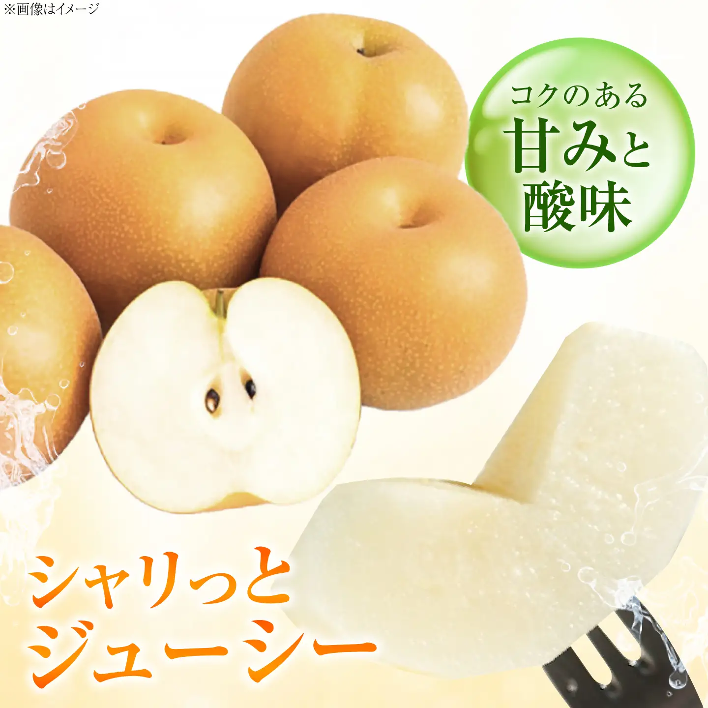 豊華梨 5〜6玉入 2026年8月〜発送 BKAD119 梨