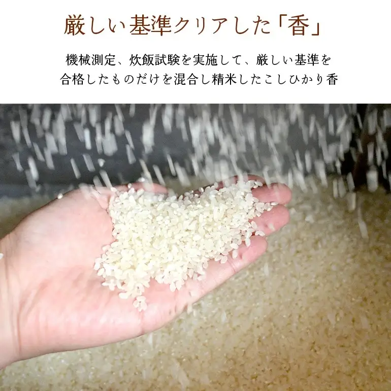 762【令和7年産】茨城県産 こしひかり香 2kg【石崎商店】