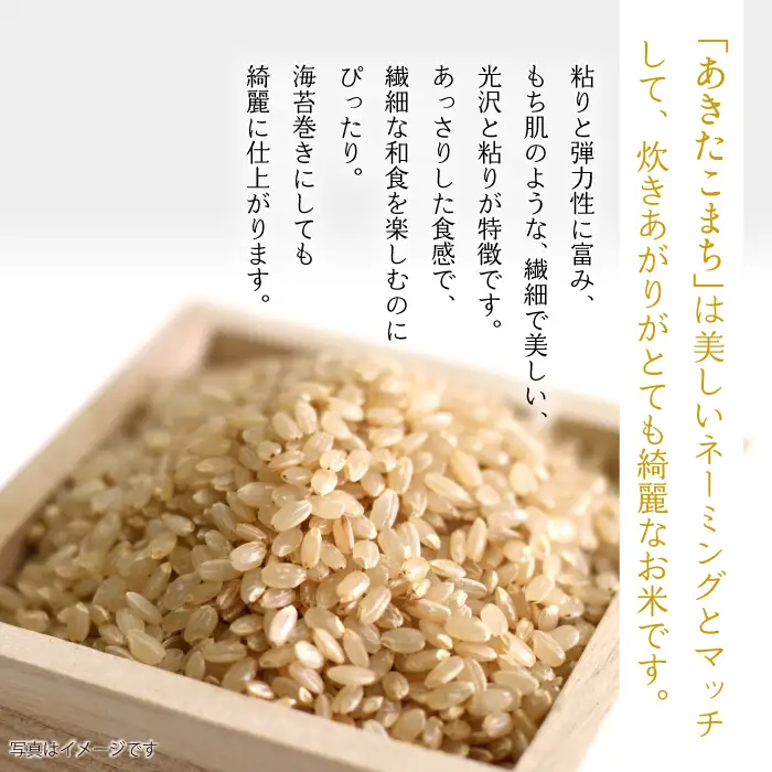 【 6ヶ月 定期便 】 武田家のお米 墾 あきたこまち 玄米 5kg 総量 30kg 農薬 化学肥料 ：栽培期間中 不使用 【米農家 仁左ェ門】 米 こめ コメ ご飯 ごはん ライス おにぎり 弁当 お弁当 単一原料米 5キロ ５kg 5ｋｇ 1袋 お取り寄せ 産地直送 農家直送 国産 岩手県産 オススメ おすすめ 人気