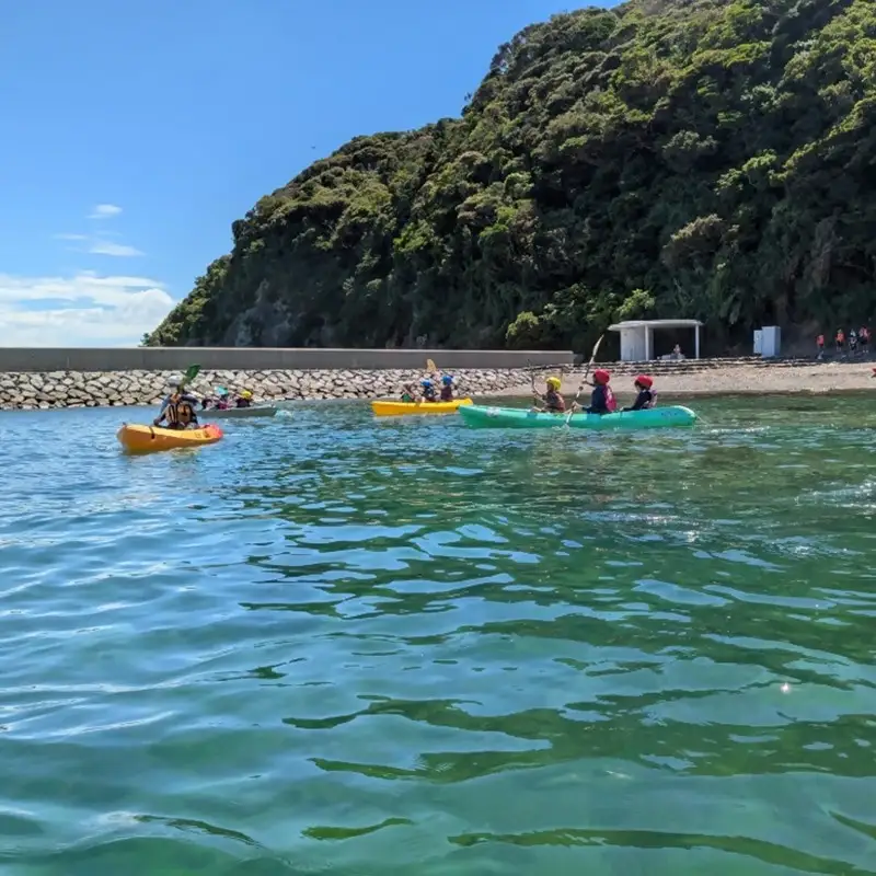 海洋体験施設うみんぐ大島 シーカヤック体験1名様分【(株)むなかた大島】_HA2024 体験 チケット 福岡県宗像市 宗像市 福岡 宗像
