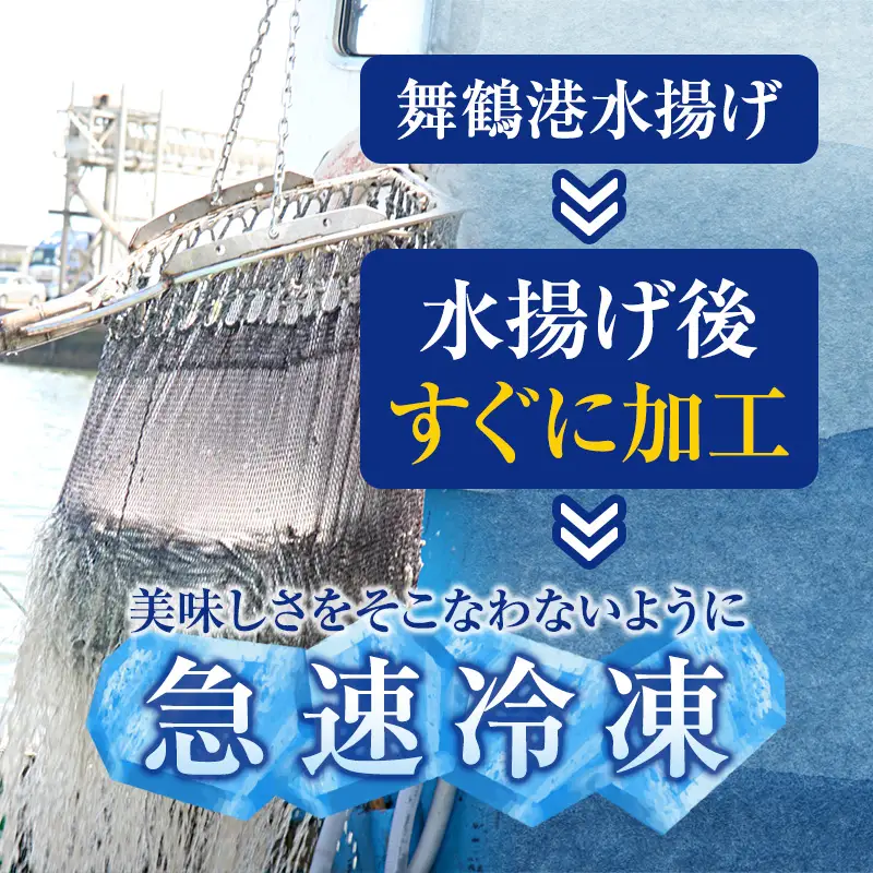 【訳あり】 骨取りさわら （サゴシ） 切り身 500g