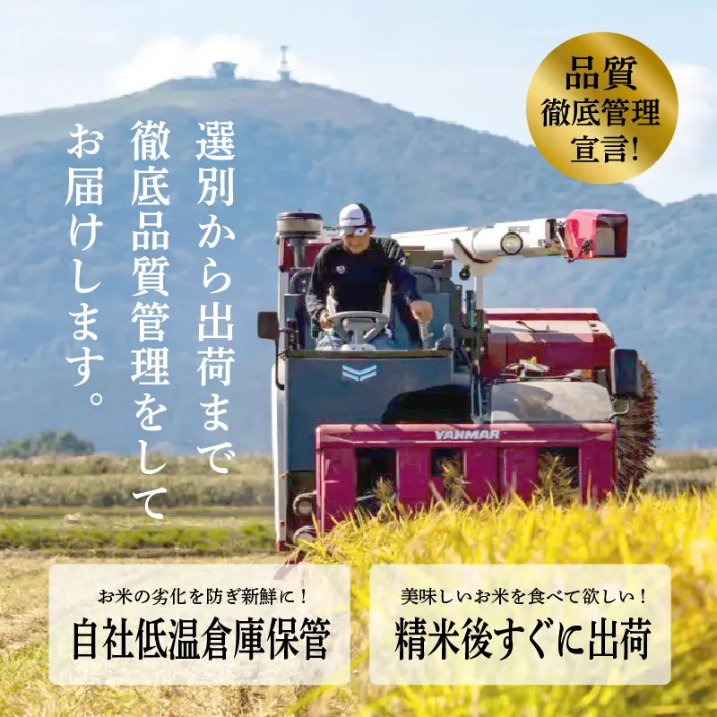 《先行予約》令和8年産 新米 秋田県産 あきたこまち 10kg 精米【鎌仁商店】