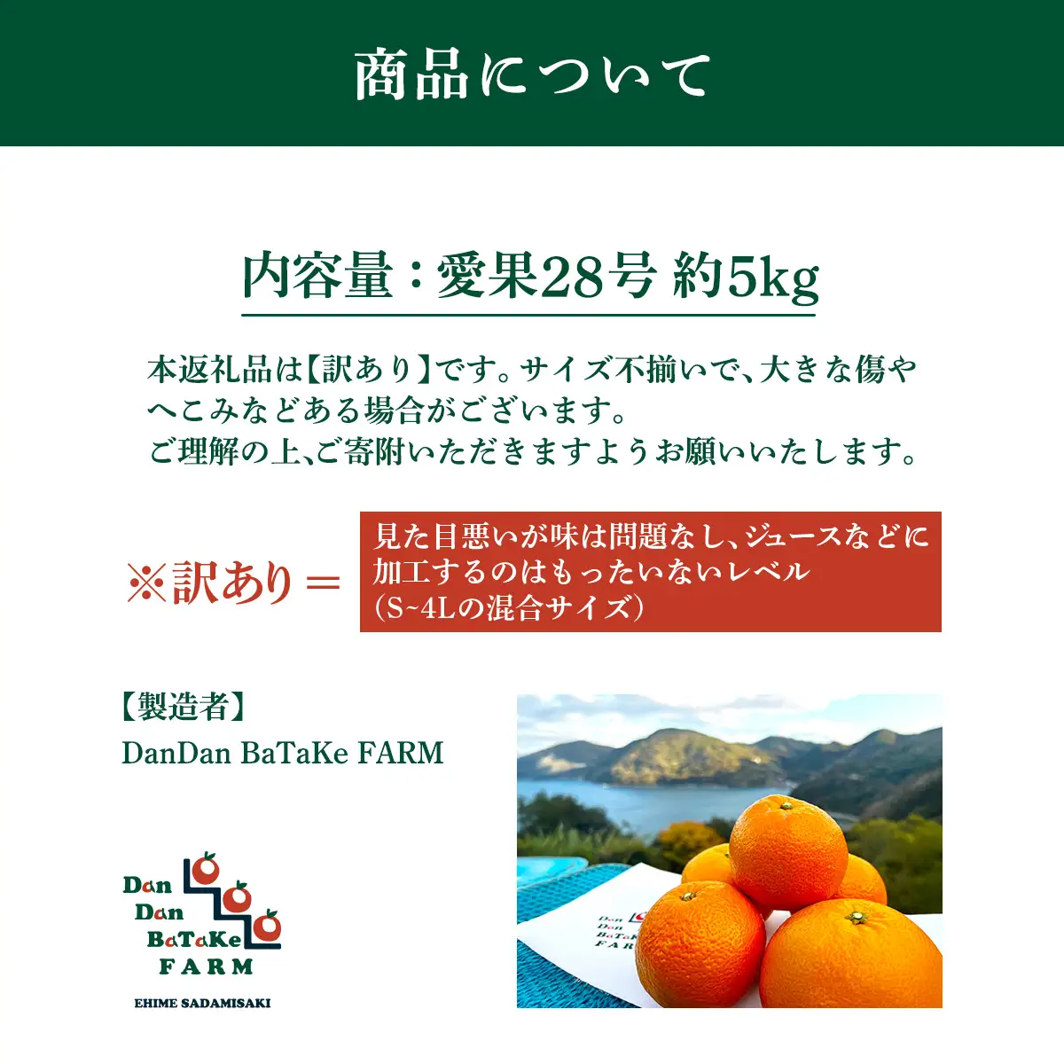 【先行予約】【訳あり】愛果28号 約5kg（小玉） | 柑橘 みかん 果物 フルーツ 愛媛県産 農家直送　※離島への配送不可　※2026年12月下旬から順次発送予定 IKTAU003