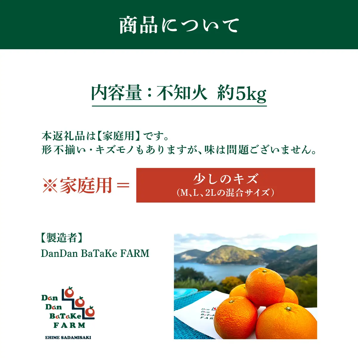 【先行予約】【家庭用】不知火 約5kg | 柑橘 みかん 果物 フルーツ 愛媛県産 農家直送　※離島への配送不可　※2027年2月下旬より順次発送予定 IKTAU008