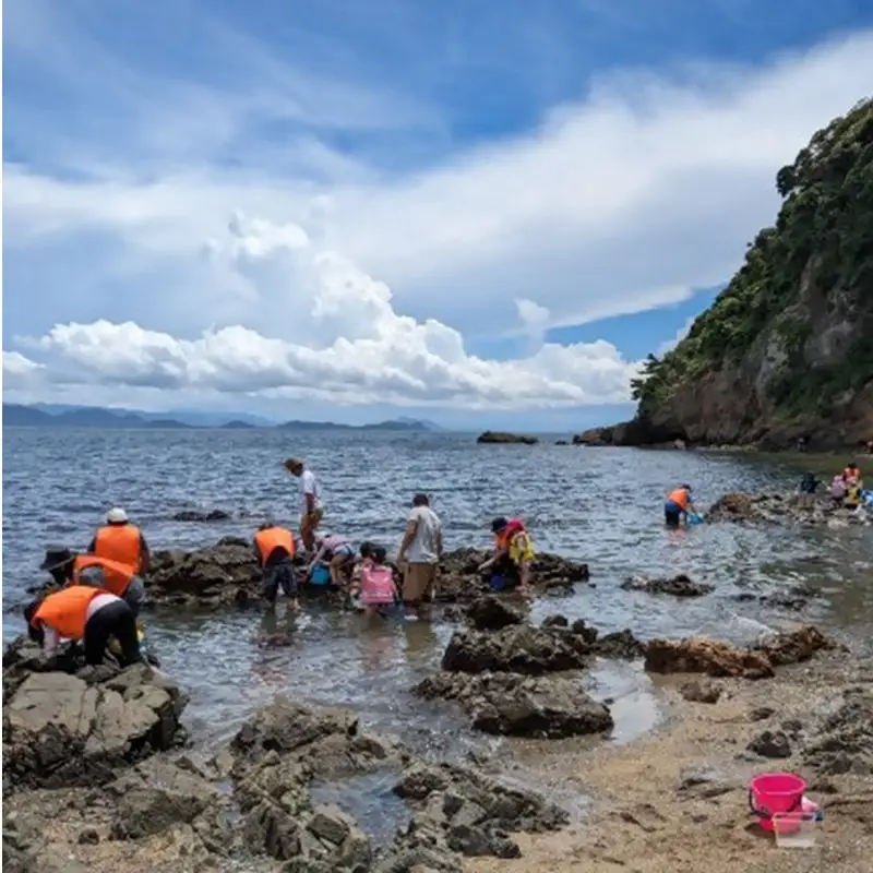 海洋体験施設うみんぐ大島 磯観察1名様分【(㈱)むなかた大島】_HA2026 体験 チケット 福岡県宗像市 宗像市 福岡 宗像