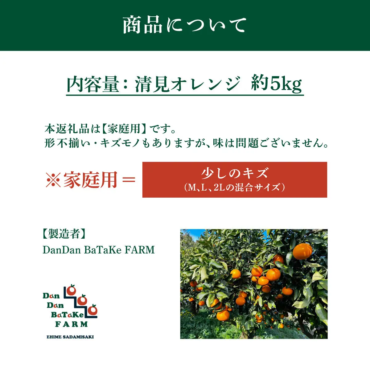 【先行予約】【家庭用】清見オレンジ 約5kg | 柑橘 みかん 果物 フルーツ 愛媛県産 農家直送　※離島への配送不可　※2027年3月中旬より順次発送予定 IKTAU010
