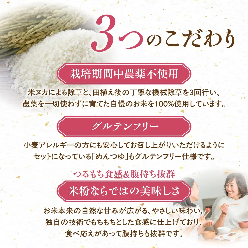 米粉のうどん 8袋 (グルテンフリーめんつゆ付)　米粉うどん めん 麺 お取り寄せ グルメ 主食 米粉麺 送料無料 愛知県 豊橋市