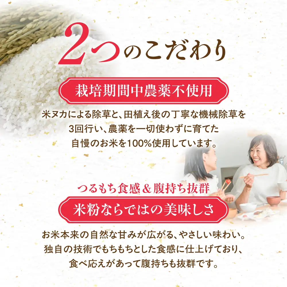 米粉のパスタ 10袋　パスタ めん 麺 お取り寄せ グルメ 主食 米粉麺 送料無料 愛知県 豊橋市