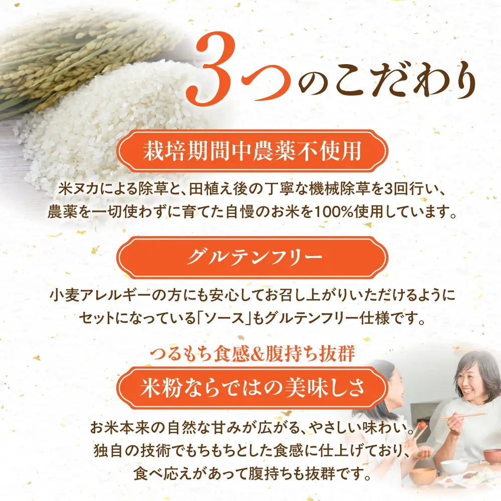 米粉の焼きそば 8袋 (グルテンフリー　ソース付)　やきそば めん 麺 お取り寄せ グルメ 主食 米粉麺 送料無料 愛知県 豊橋市