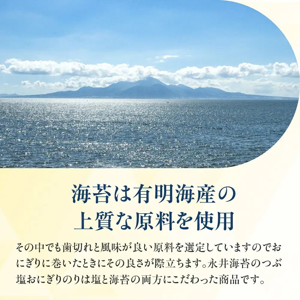 つぶ塩おにぎりのり３切１５枚 １０袋詰め　 永井海苔 味付き海苔 大容量 味付け海苔 のり ノリ 海苔 おにぎり 巻くだけ 愛知県 豊橋市