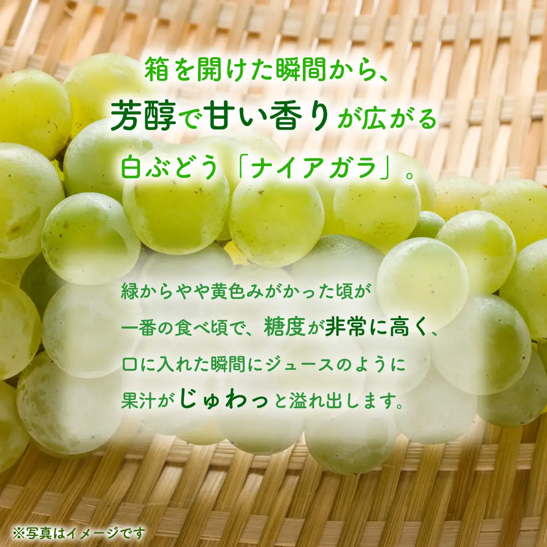 ぶどう ナイアガラ 1kg (3～4房)【紫波町佐比内産】(BC009)