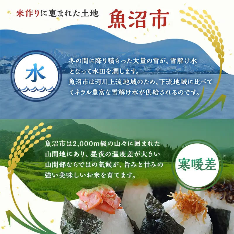 【先行予約 令和8年産】 雪国逸品 無洗米5kg 越後魚沼郷    魚沼産コシヒカリ