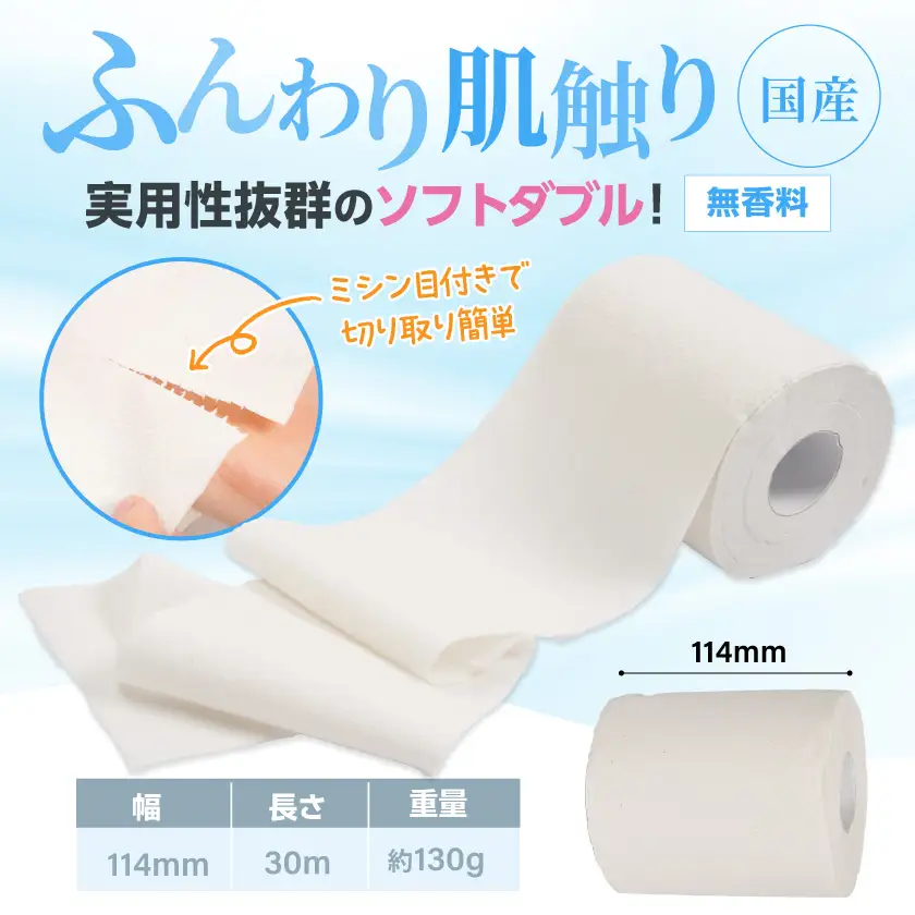 トイレットペーパー ダブル 24ロール≪みやこんじょ快速便≫〔LBE-I5-TP24-R〕 トイレット