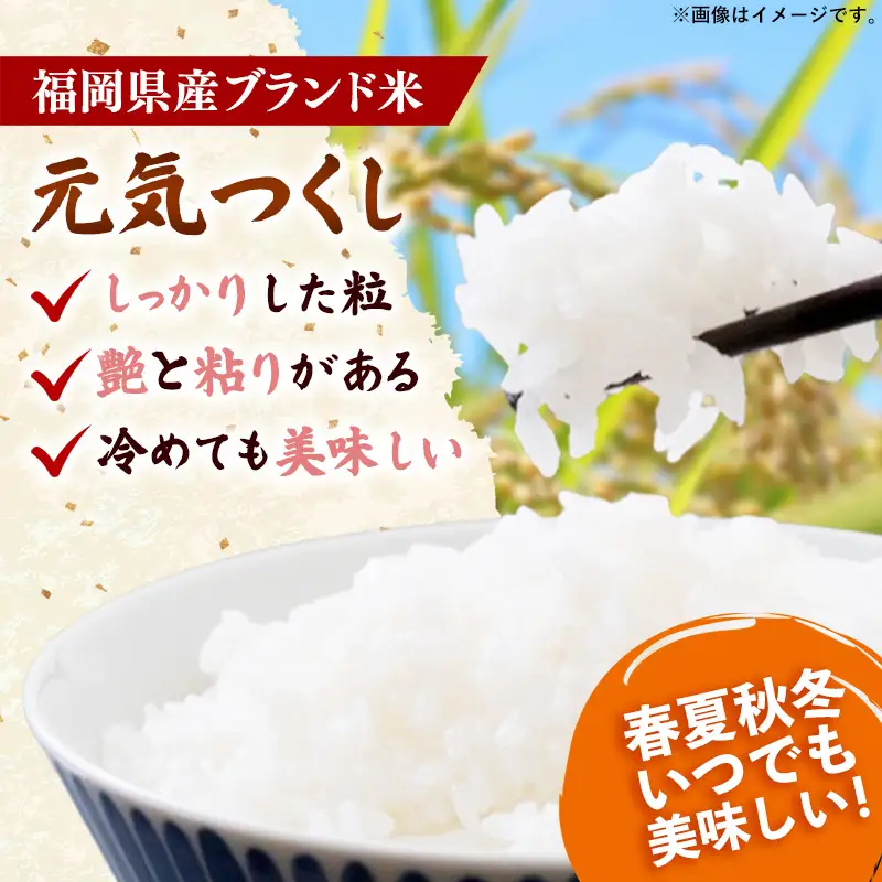 ＜令和7年産＞ 元気つくし 無洗米 真空パック 6kg(3kg×2袋)【無洗米 ご飯 米 お米 元気つくし ブランド 真空パック パック 保存 備蓄 便利 お弁当 筑前町 福岡県 AB028】