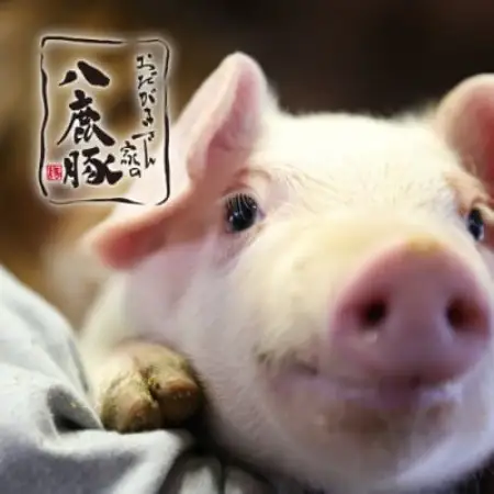 【おだがきさん家の八鹿豚】ハンバーグセット【配送不可地域：離島】【1739400】