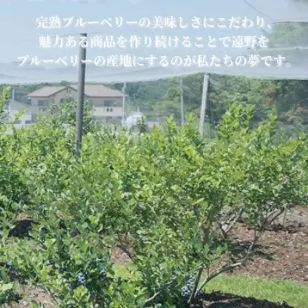冷凍ブルーベリー 大粒 1.2kg (400gパック3個入り) 門前おくでらブルーベリー園【配送不可地域：離島】【1738487】