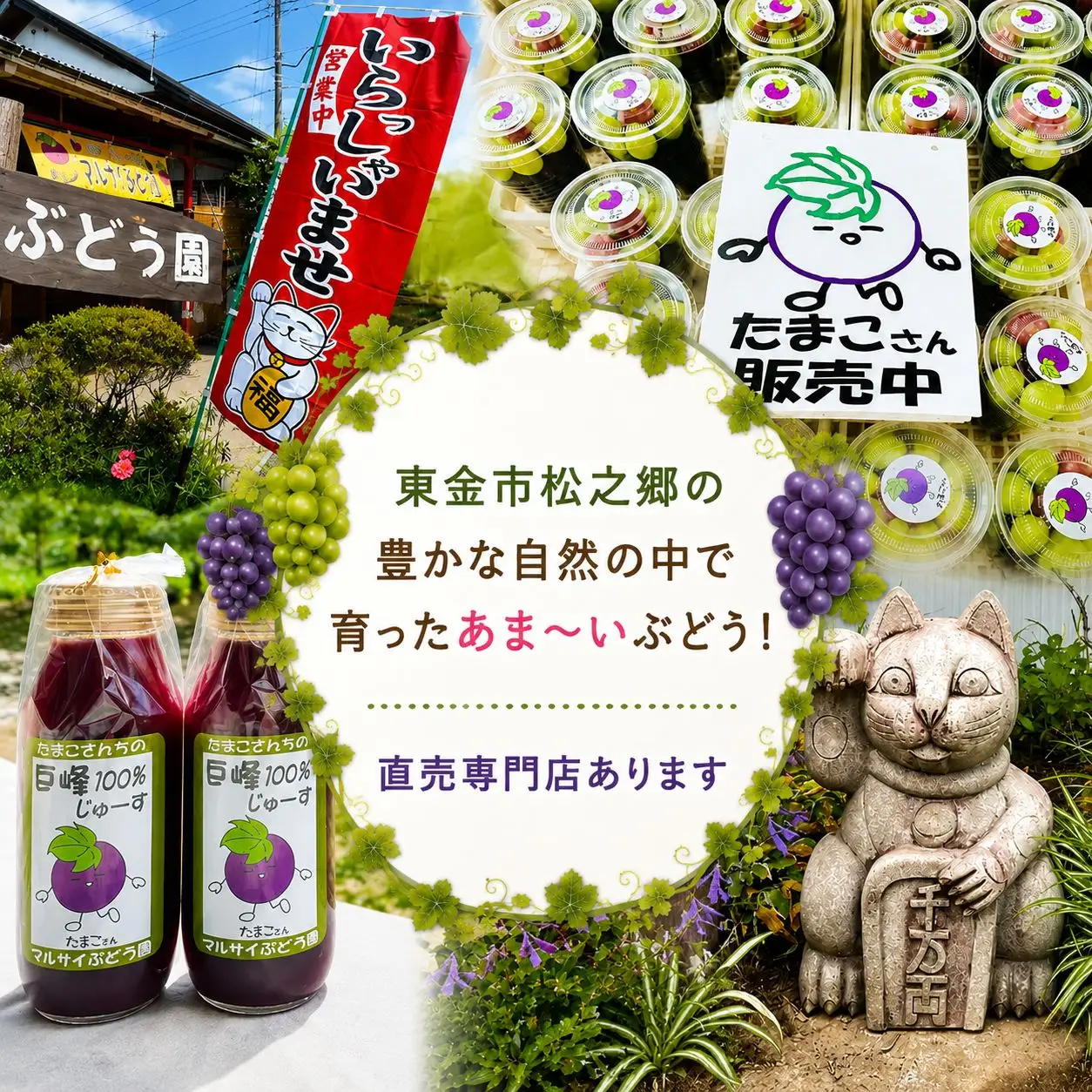 巨峰 3房～4房 と シャインマスカット 1房 セット 約2kg