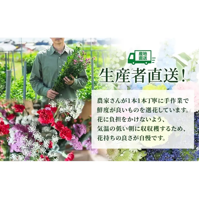 ＜10月配送＞ 北海道 花 詰め合わせ 4品種 20本以上 切り花 切花 花束 ブーケ 季節 旬 生花 フラワー アレンジメント 記念日 産地直送 