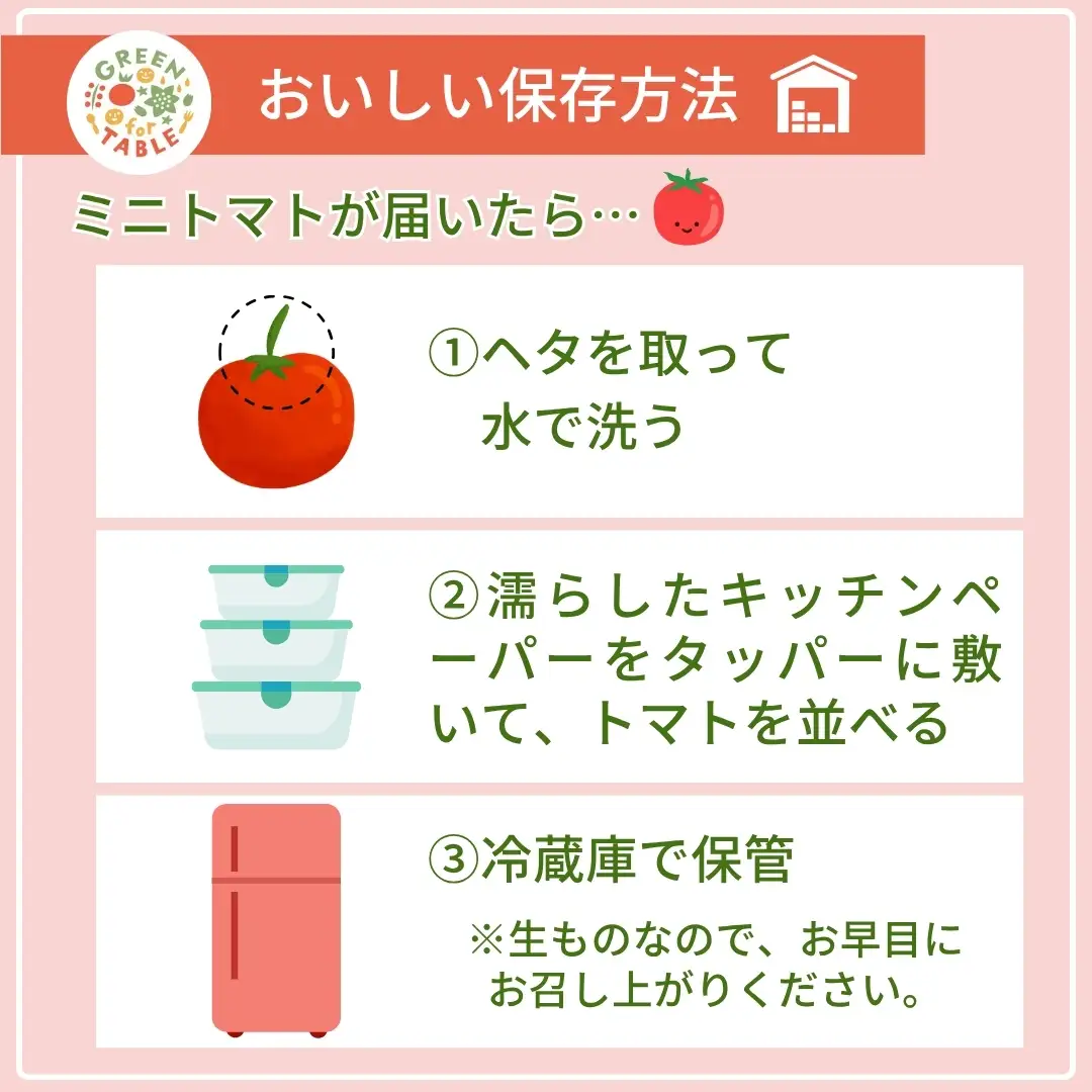 美粒トマト ミニトマト サンチェリー 1kg 2026年7月発送 トマト 新鮮 採れたて フレッシュ 野菜 農家直送 1キロ 人気 福島県 田村市 田村 GREEN for TABLE
