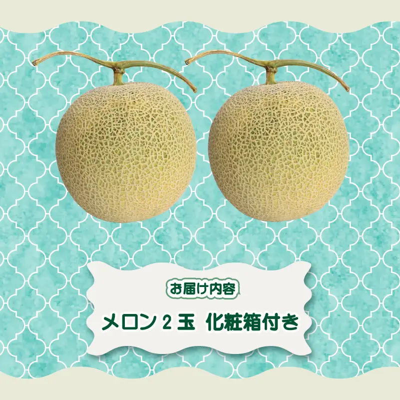 【期間限定 2玉】メロン 2玉 アールスメロン  静岡県 牧之原 一般社団法人　0548プロジェクト