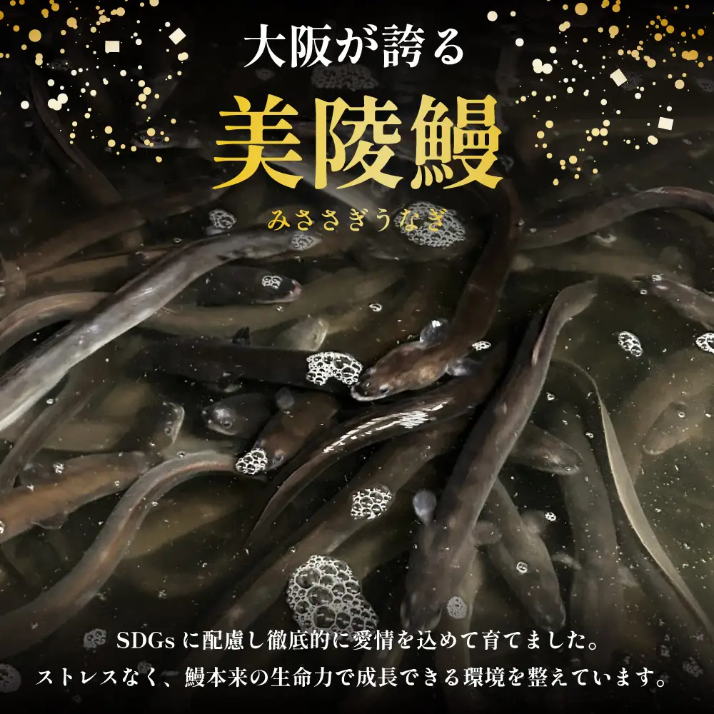 鰻 鰻の蒲焼き1尾