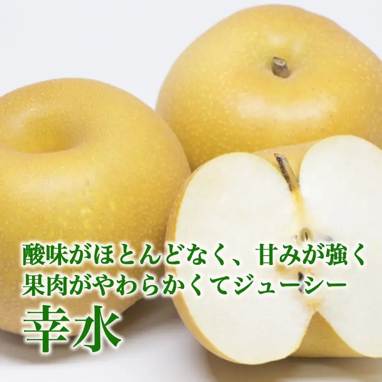 【射水のおいしい果実】【梨】直売所直送 野開梨園の“呉羽梨” 幸水3kg（8～9個／箱）※2026年8月～発送