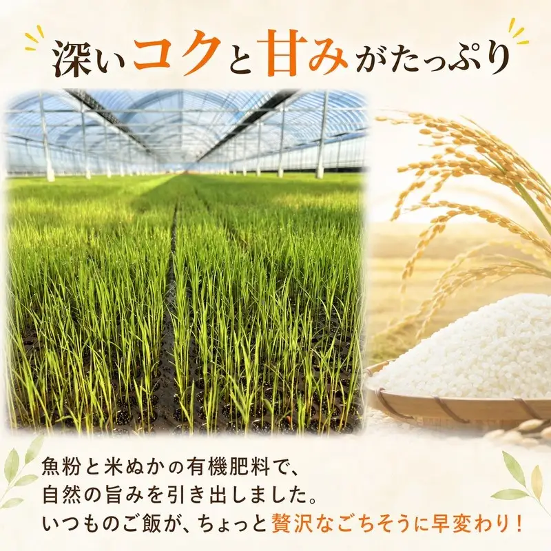 こしひかり 玄米 新米 10kg  2026年産［0940-4］