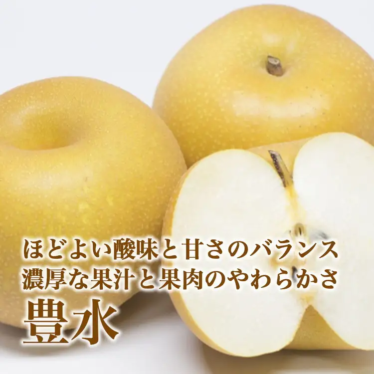 【射水のおいしい果実】【梨】直売所直送 野開梨園の“呉羽梨” 豊水5kg（14～16個／箱）※2026年9月～発送