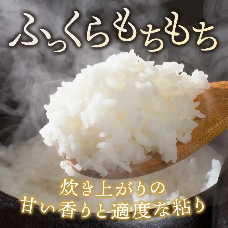 【11月発送】【定期便3ヵ月】令和8年産新米 コシヒカリ 無洗米 5kg×3ヵ月 計15kg ｜ お米 白米 米 こめ コメ ご飯 ふるさと納税米 定期便 国産 常温 栃木県 塩谷町 ※2026年11月～発送