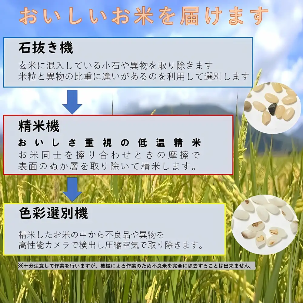 【令和7年産 白米】ヒノヒカリ 5kg 白米 精米 米