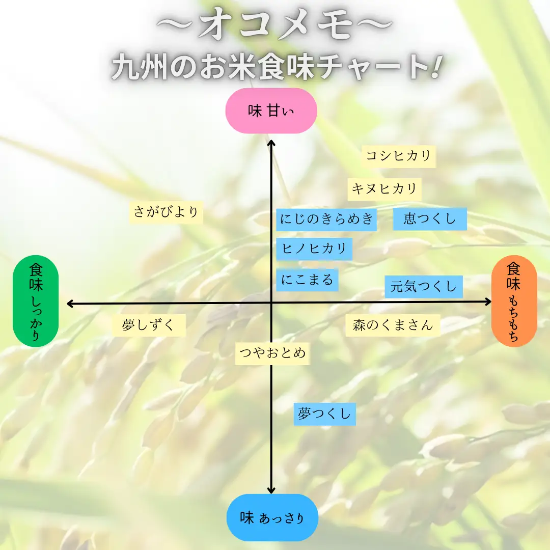 令和7年度産 元気つくし 5kg