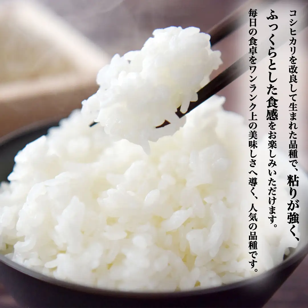 《 令和8年産 》 桜川市産 ミルキークイーン 10kg 新米 先行予約 茨城県 桜川市 米 お米 白米 コメ ごはん 精米 国産 限定 銘柄米 [SC072sa]