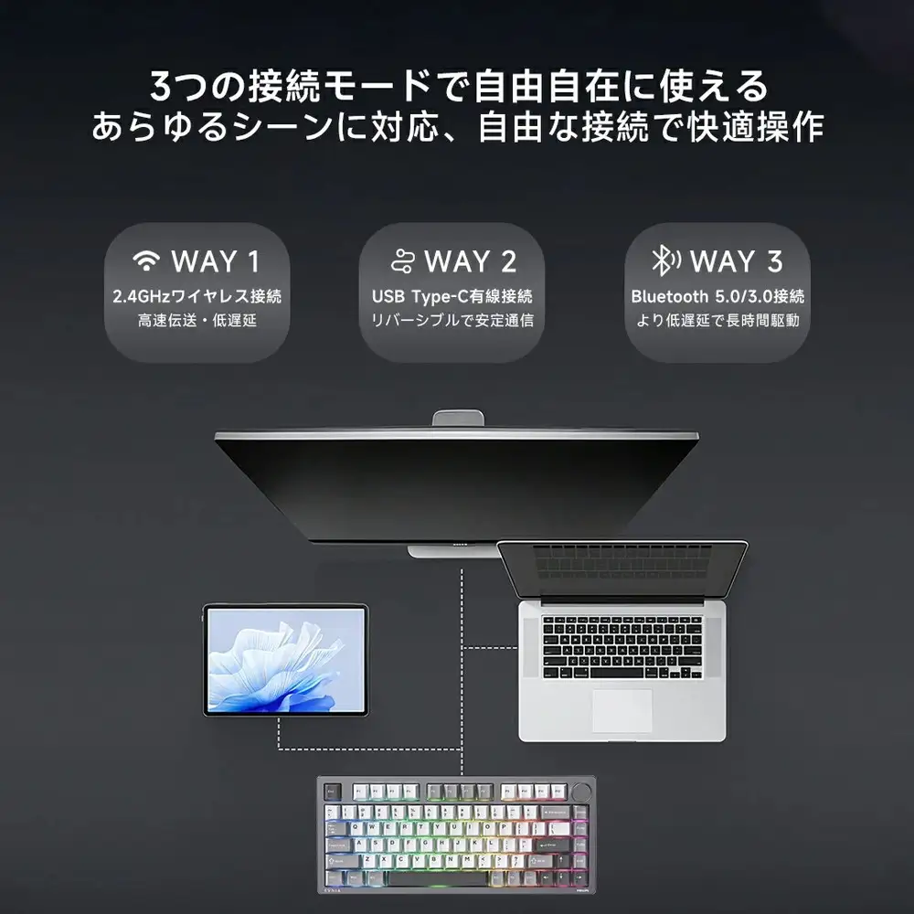 PHILIPS メカニカルキーボード ワイヤレス ゲーミングキーボード GASKET構造 75%配列 カスタム抹茶ラテ軸 3モード接続(2.4G/Bluetooth/USB-C) 1600万色RGB 1000時間連続使用 ソフト対応 アルミニウムボディ 国内正規品 1年間保証 SPK8618