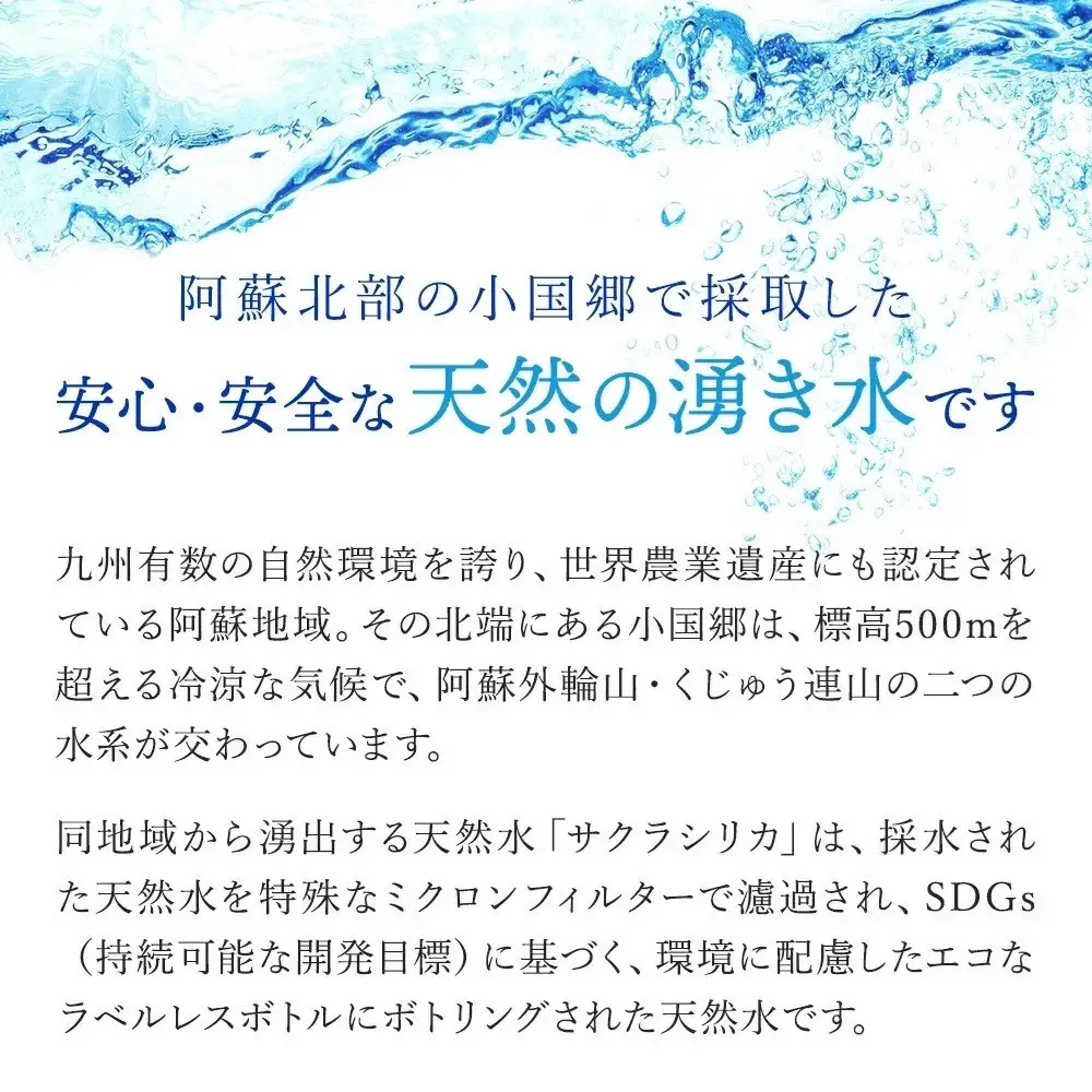 【桜屋】6回 定期便 シリカ天然水 サクラシリカ 500ml 16本 6回 計96本 シリカ含有量99mg/L シリカ水 ラベルレス 水 ミネラルウォーター 飲料水 飲料 ペットボトル ナチュラルウォーター サルフェート 炭酸水素イオン ミネラル 国産 阿蘇 小国郷