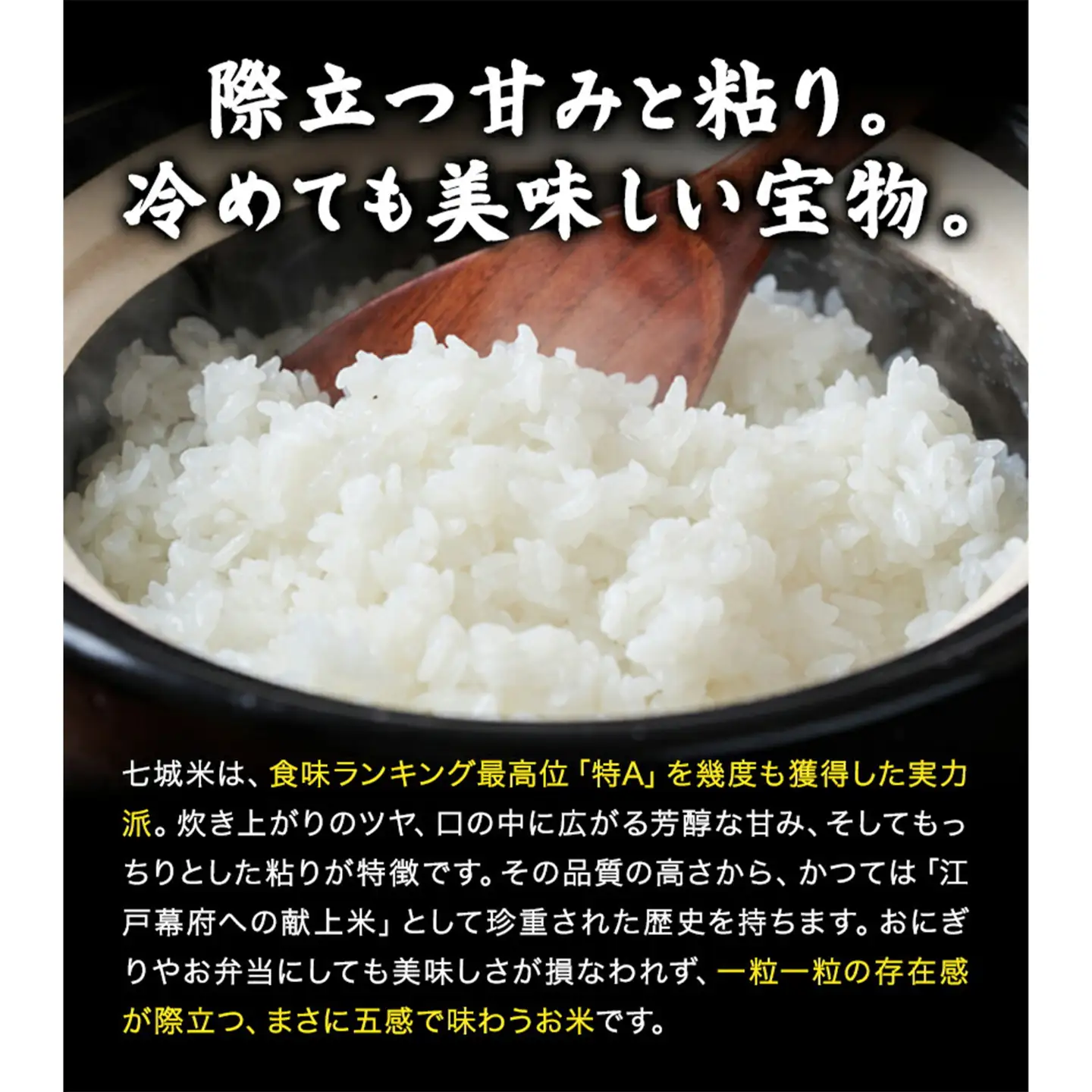 【6ヶ月定期便】令和7年産 菊池市七城町産 田代家の七城米 七城ヒノヒカリ 七分づき 10kg 田代こめや《お申し込み月の翌月から出荷開始》熊本県 菊池市 米 お米 精米 ひのひかり 菊池市産 熊本県産 九州産 送料無料