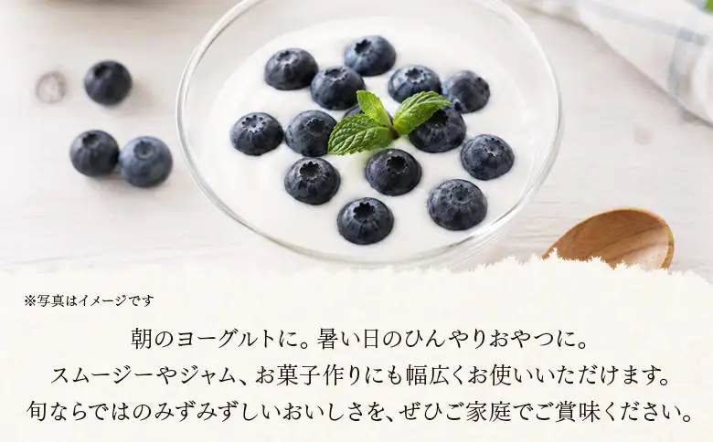 ＜愛媛県西予市産 ブルーベリー ご家庭用 合計約1.5kg＞『7月下旬～8月迄に順次出荷予定』訳あり 果物 フルーツ くだもの 生ブルーベリー 旬 フレッシュ 甘酸っぱい 実 ヨーグルト ご自宅 お取り寄せ 国産 デザート 宇都宮物産 愛媛県 西予市 【冷蔵】UUB0109