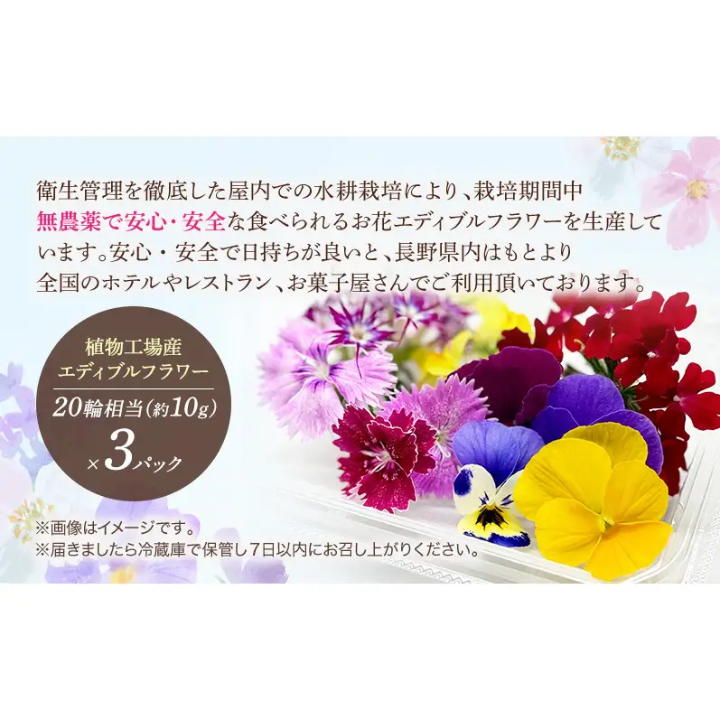 栽培期間中無農薬で安心！屋内水耕栽培で彩り豊かなエディブルフラワーを季節を問わずお届けします！品種おまかせ　20輪相当×３パック 食用花 お花 料理 お菓子 デザート