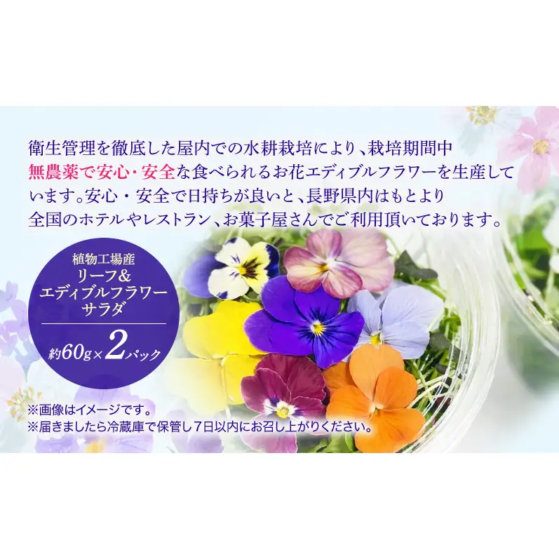 栽培期間中無農薬で安心！屋内水耕栽培で育てたリーフ＆エディブルフラワーサラダ×2カップ 信州野菜のマイクロリーフ入り！ 食用花 お花 野菜 料理 サラダ