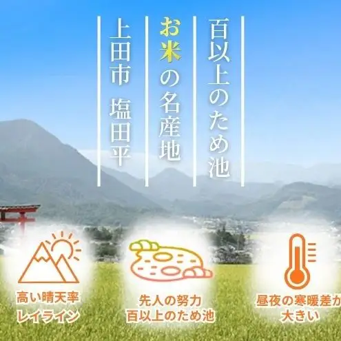 こしひかり 5kg 米 塩田平 こしひかり 